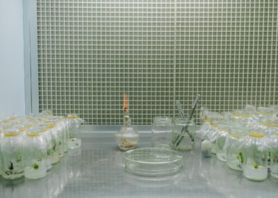GSBiotech