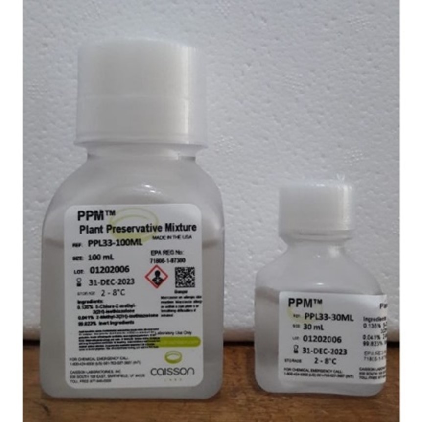 PPM
